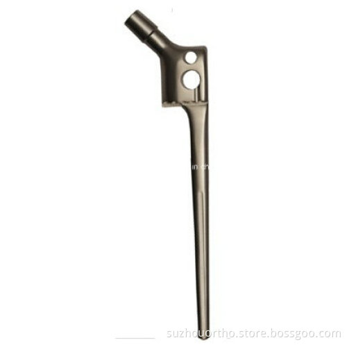 Trochanter Femoral Stem